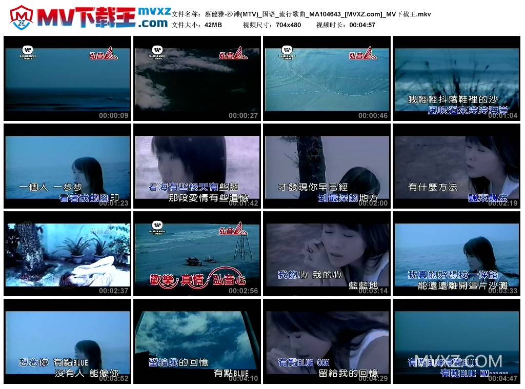 蔡健雅-沙滩(MTV)_国语_流行歌曲_MA104643